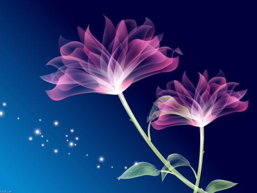 417702 (a): :1600x1200
